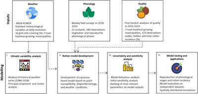 Rotten Hazelnuts Prediction via Simulation Modeling—A Case Study on the Turkish Hazelnut Sector